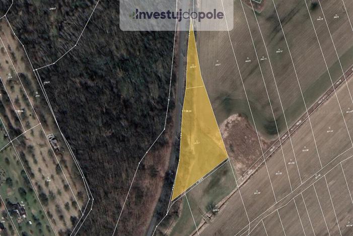 Prodej louky, Šumperk, 4205 m2