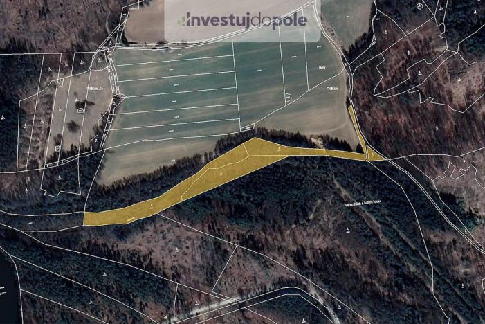 Prodej lesa, Volfířov - Brandlín, 13682 m2