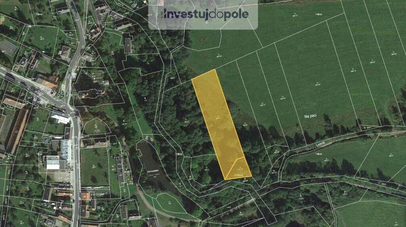 Prodej louky, Nové Mitrovice, 5700 m2