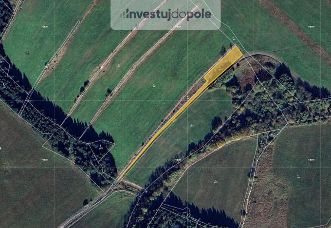 Prodej louky, Hora Svatého Šebestiána - Nová Ves, 1452 m2