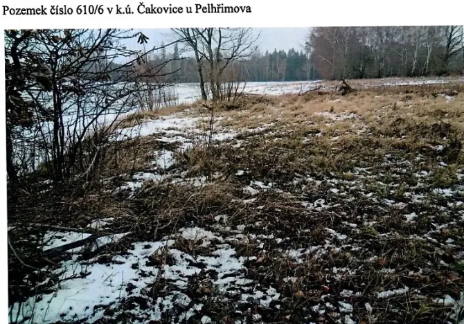 Prodej lesa, Pelhřimov, 536 m2