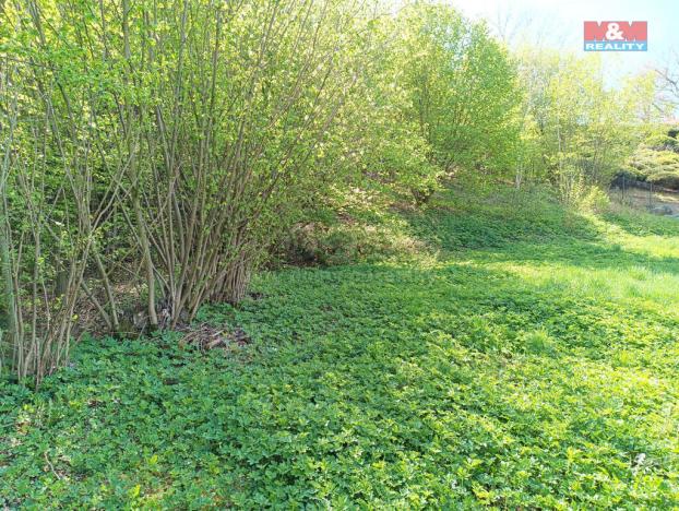 Prodej louky, Rychnov nad Kněžnou, 2141 m2