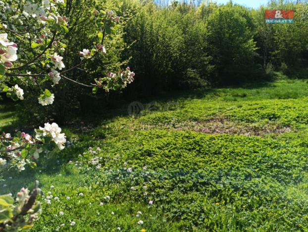 Prodej louky, Rychnov nad Kněžnou, 2141 m2