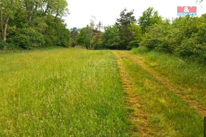 Prodej pozemku pro bydlení, Vlašim, 10664 m2