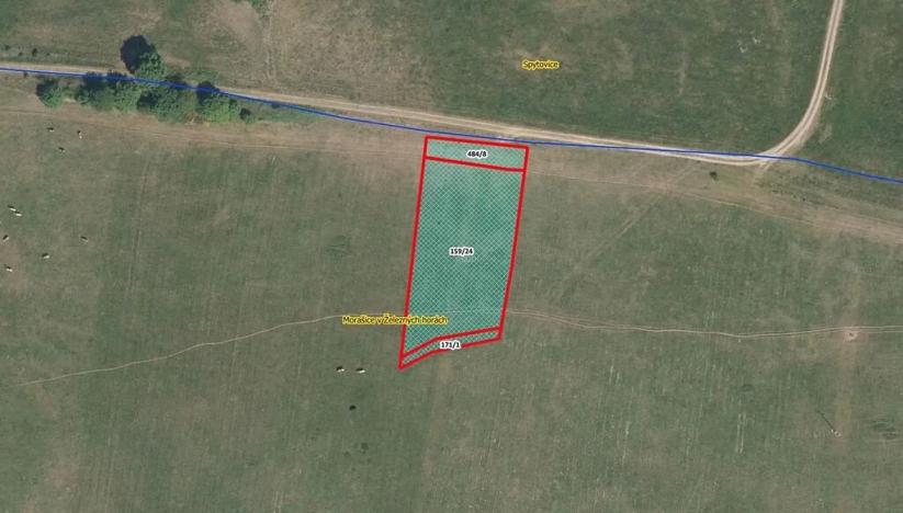 Prodej louky, Morašice, 2206 m2