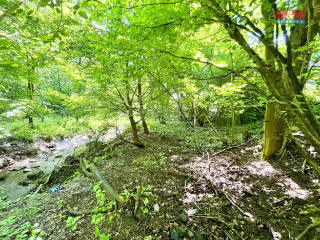 Prodej rybníku, Skalice u České Lípy, 3255 m2