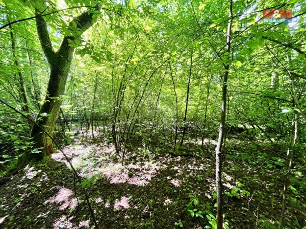 Prodej rybníku, Skalice u České Lípy, 3255 m2