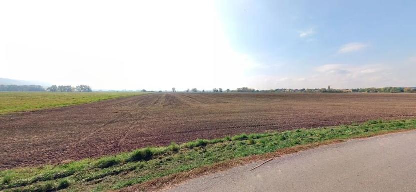 Prodej pole, Jenišovice, 1656 m2