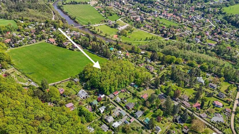 Prodej lesa, Petrov, 6490 m2