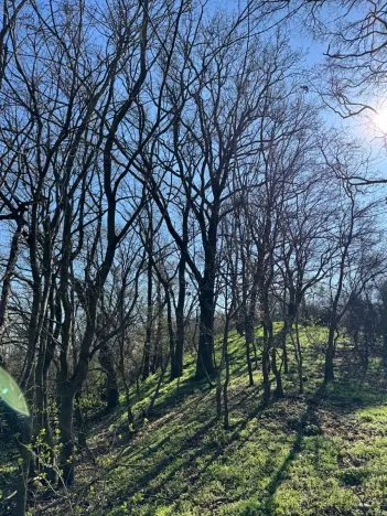 Prodej pozemku, Jevišovice, 7710 m2