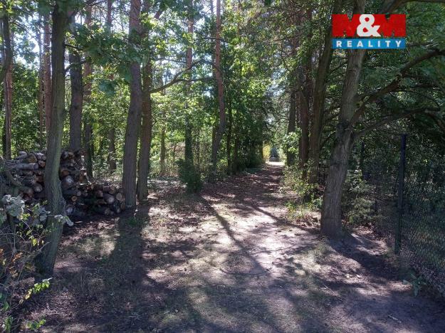 Prodej pozemku pro bydlení, Tišice, 4271 m2