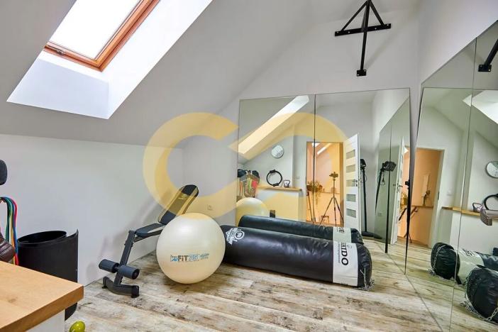 Prodej rodinného domu, Bušanovice, 300 m2