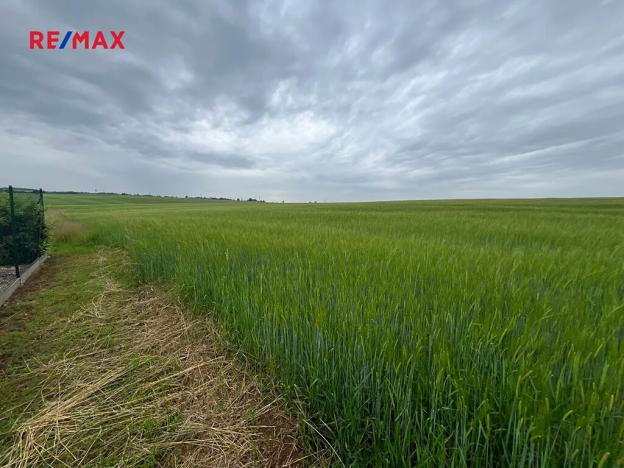 Prodej pole, Krupá, 18159 m2