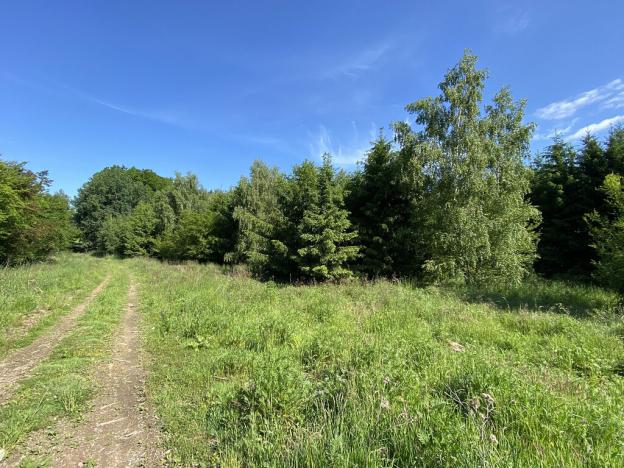Prodej louky, Velké Opatovice - Velká Roudka, 2923 m2
