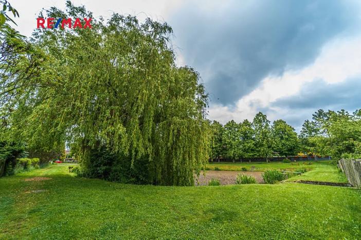 Prodej pozemku pro bydlení, Běleč, 3780 m2