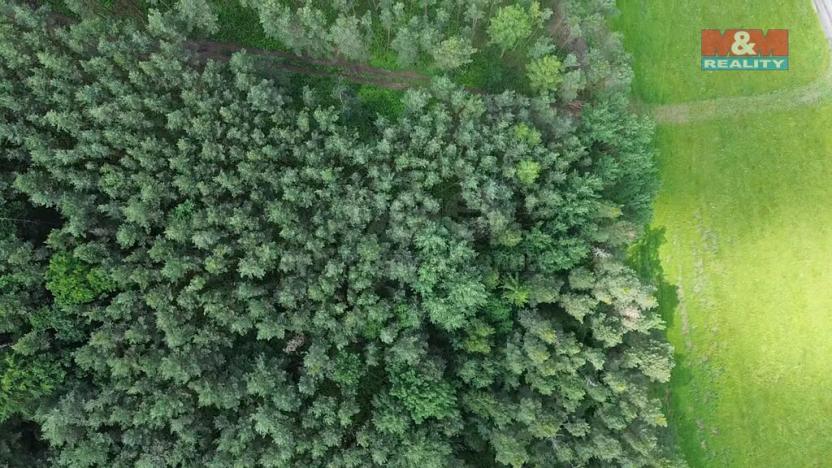 Prodej lesa, Chotilsko - Prostřední Lhota, 3372 m2