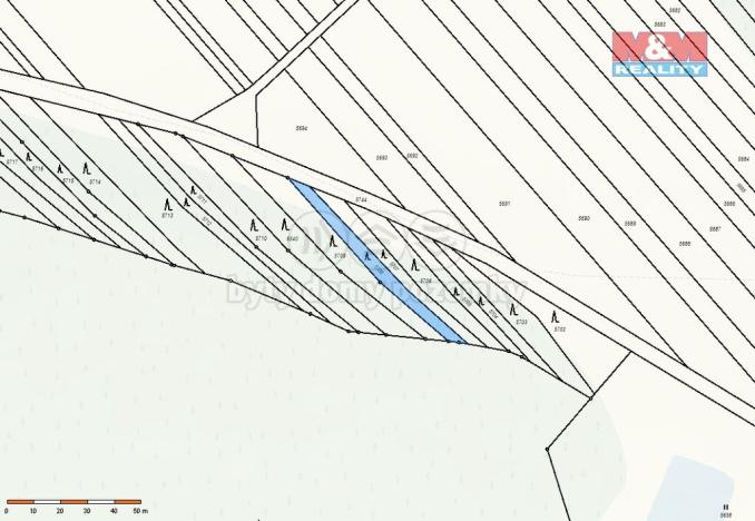 Prodej lesa, Loukov, 1288 m2