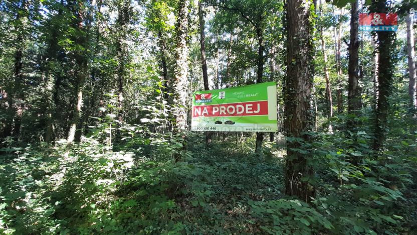 Prodej pozemku pro bydlení, Hradištko, Kersko, 3854 m2