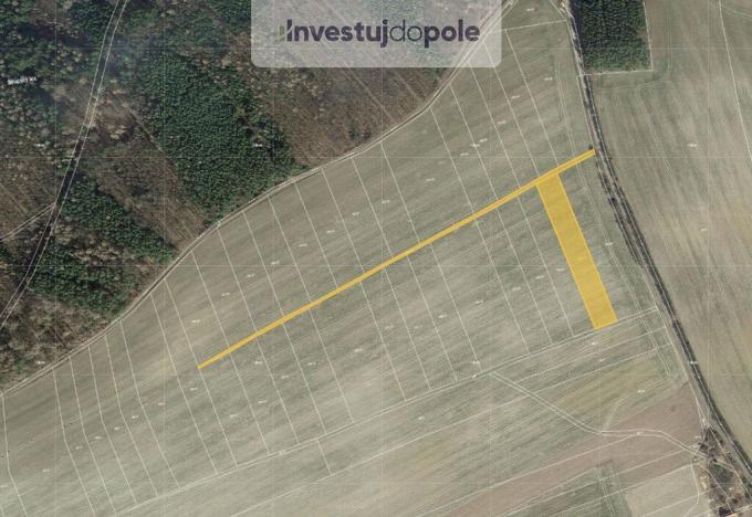 Prodej pole, Hřebečníky - Novosedly, 3029 m2