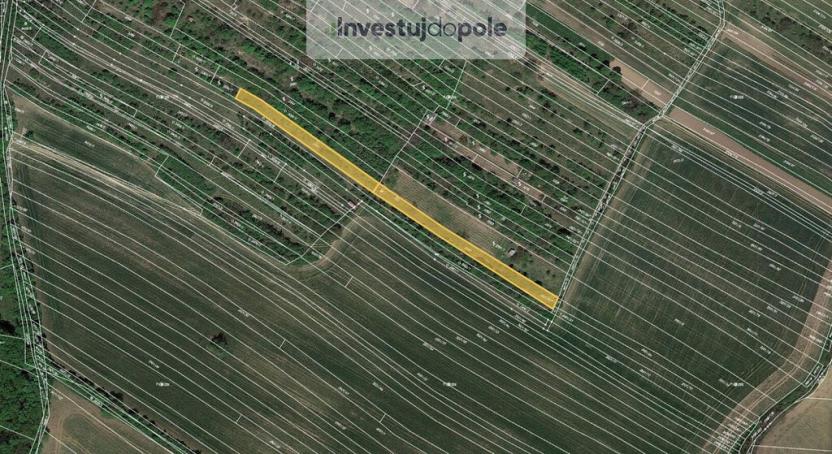 Prodej pole, Klobouky u Brna, 2027 m2