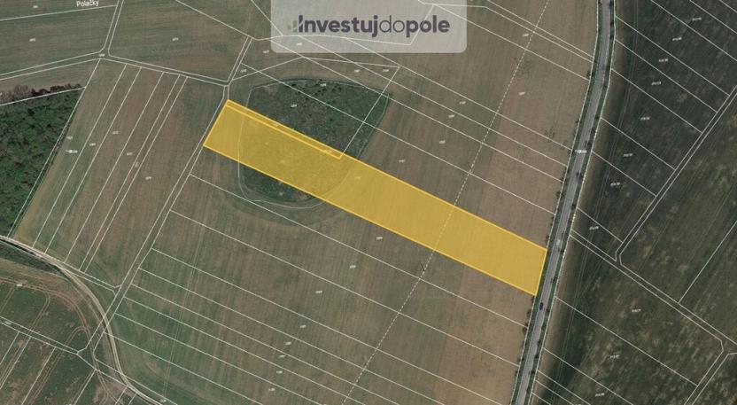 Prodej pole, Sentice, 1509 m2