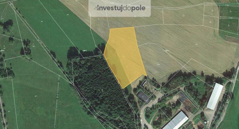 Prodej louky, Petrovice u Sušice - Posobice, 9721 m2