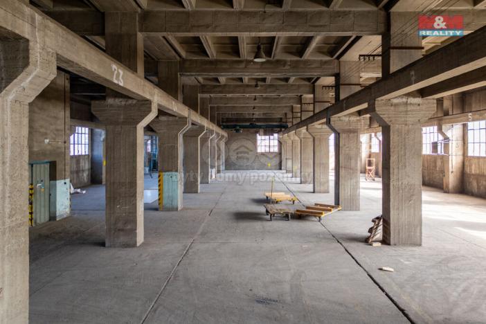 Pronájem výrobních prostor, Ostrava, 12000 m2
