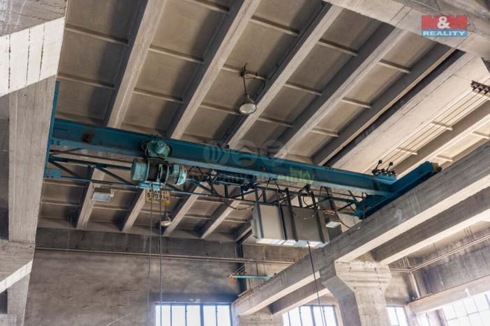 Pronájem výrobních prostor, Ostrava, 12000 m2