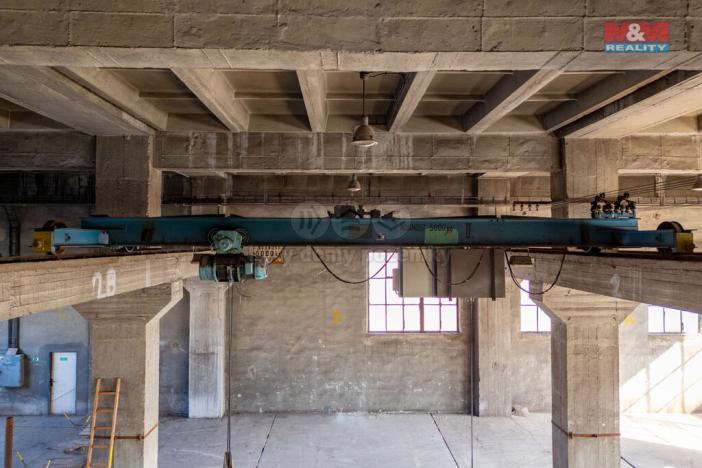 Pronájem výrobních prostor, Ostrava, 12000 m2