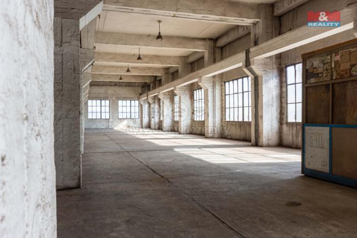 Pronájem výrobních prostor, Ostrava, 12000 m2