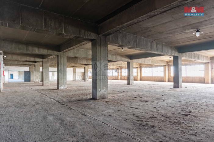 Pronájem výrobních prostor, Ostrava, 12000 m2