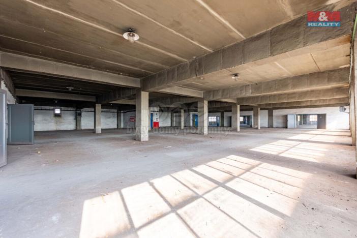 Pronájem výrobních prostor, Ostrava, 12000 m2