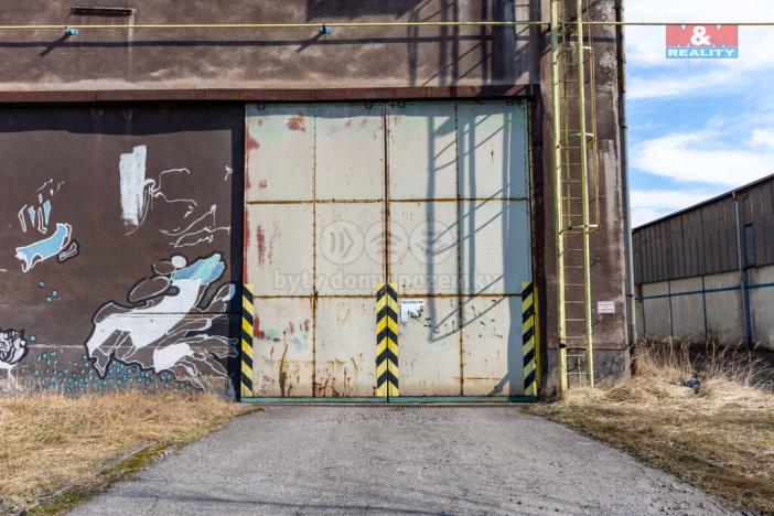 Pronájem výrobních prostor, Ostrava, 12000 m2