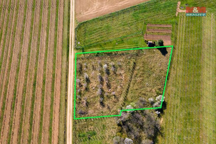 Prodej pozemku pro bydlení, Dobšice, 2462 m2