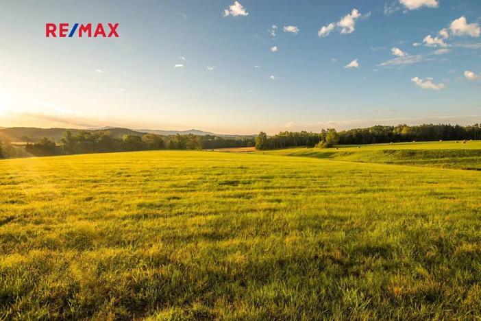 Prodej zemědělské usedlosti, Jablonné v Podještědí, 1000 m2