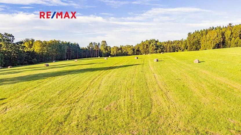 Prodej zemědělské usedlosti, Jablonné v Podještědí, 1000 m2