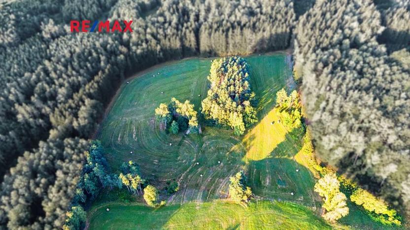 Prodej zemědělské usedlosti, Jablonné v Podještědí, 1000 m2