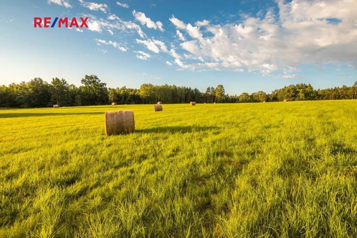 Prodej zemědělského objektu, Jablonné v Podještědí, 1000 m2