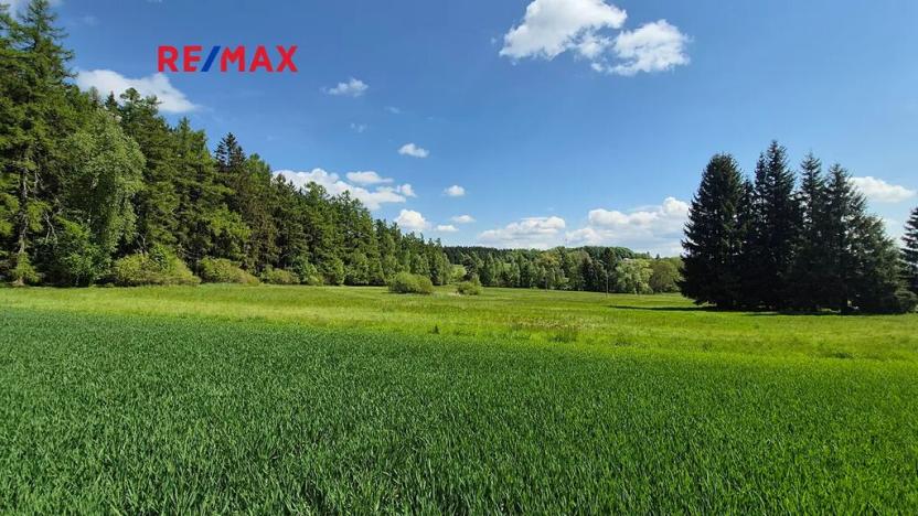 Prodej pozemku pro bydlení, Borová, 5776 m2