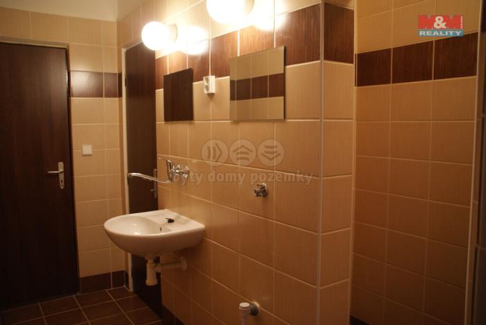 Pronájem bytu 1+1, Ostrava - Zábřeh, Plzeňská, 45 m2