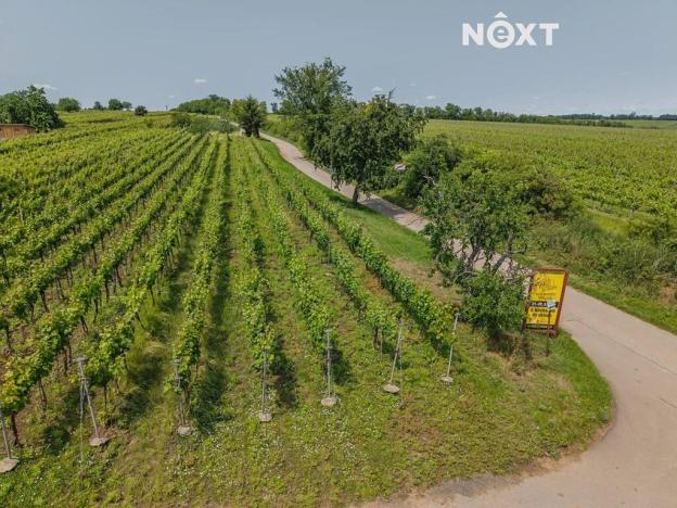 Prodej sadu/vinice, Prušánky, 2318 m2