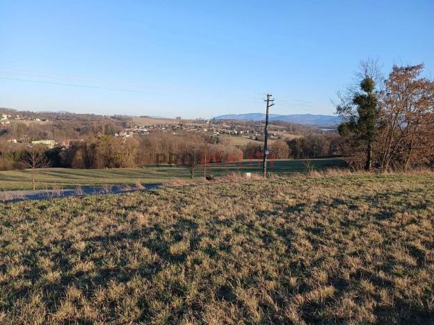 Prodej pozemku pro bydlení, Horní Bludovice, 3705 m2