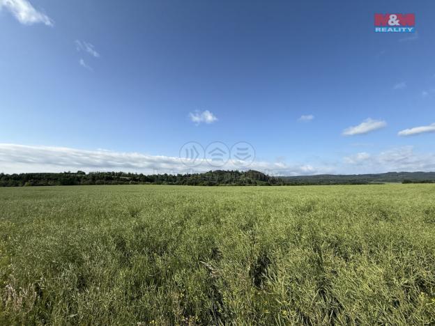 Prodej pole, Rožmitál pod Třemšínem - Skuhrov, 8056 m2