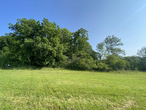 Prodej lesa, Roštění, 2228 m2