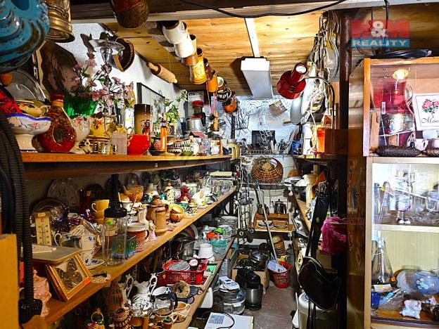 Pronájem obchodního prostoru, Brandýs nad Labem-Stará Boleslav - Stará Boleslav, Na dolíku, 63 m2