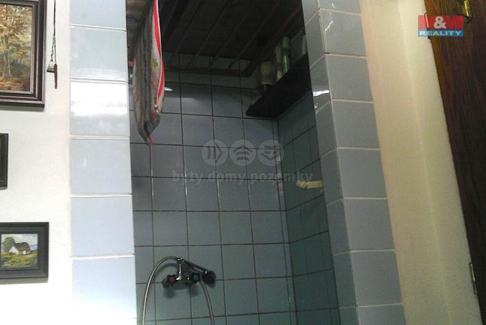 Pronájem obchodního prostoru, Brandýs nad Labem-Stará Boleslav - Stará Boleslav, Na dolíku, 63 m2