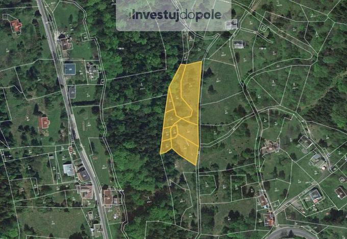 Prodej louky, Desná - Desná III, Michlův Kopec, 5425 m2