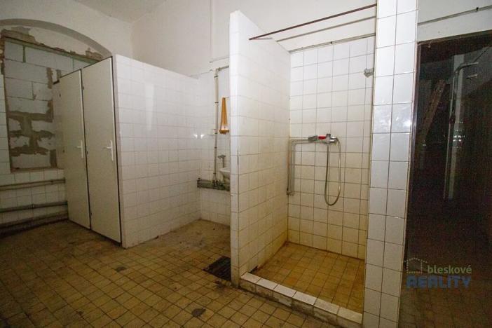 Pronájem výrobních prostor, Brandýs nad Labem-Stará Boleslav, 826 m2