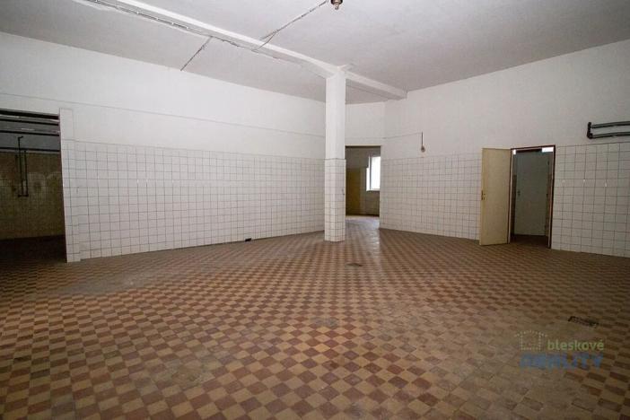 Pronájem skladu, Brandýs nad Labem-Stará Boleslav, 826 m2