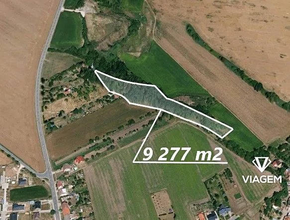 Prodej podílu lesa, Charváty, 1159 m2